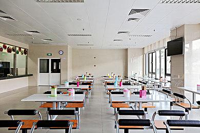 《星空》粉丝呼吁B社添加动物伙伴 没猫狗不幸福